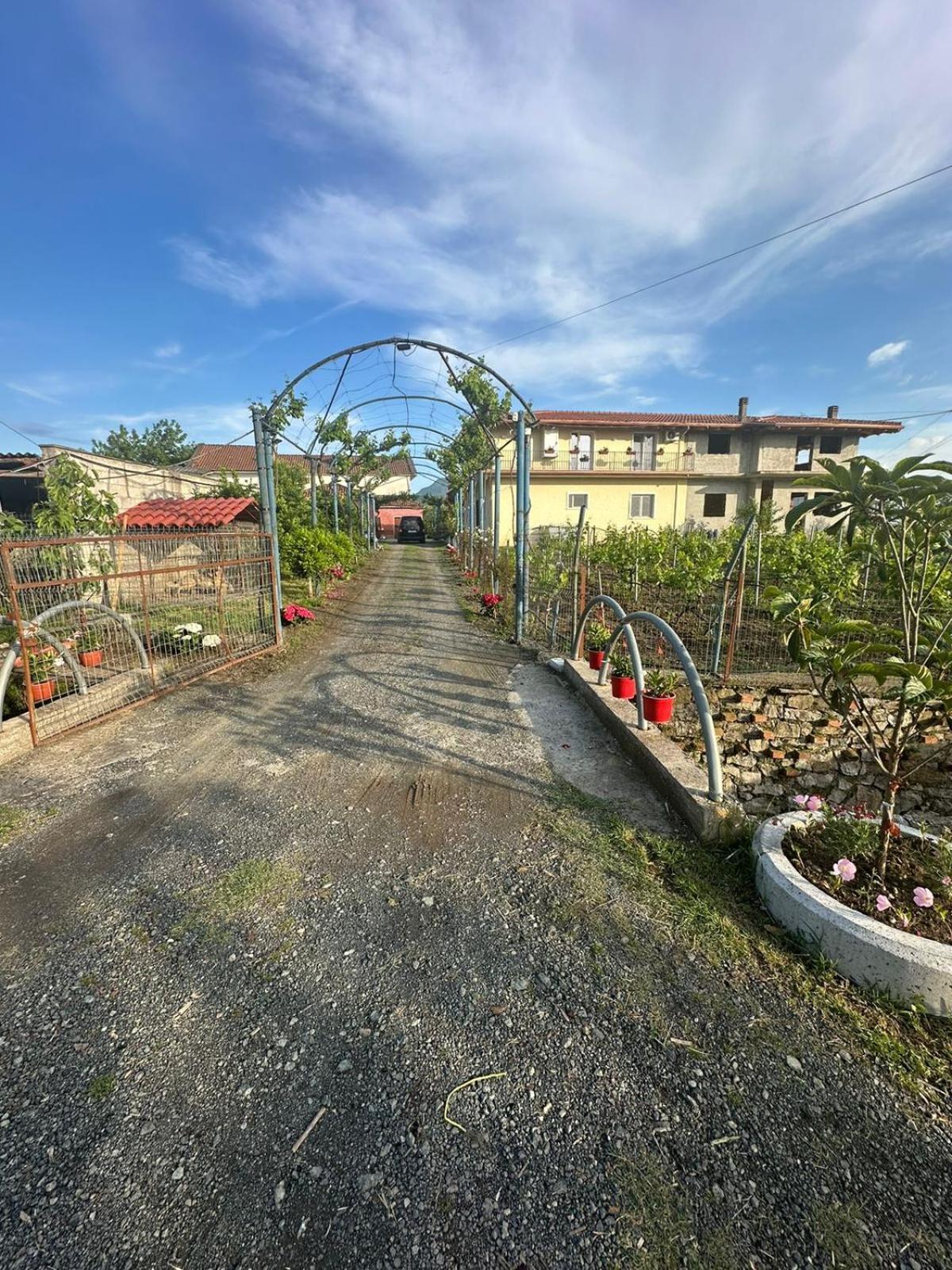 Guesthouse Marku - Mrizi I Zanave Fishte 외부 사진