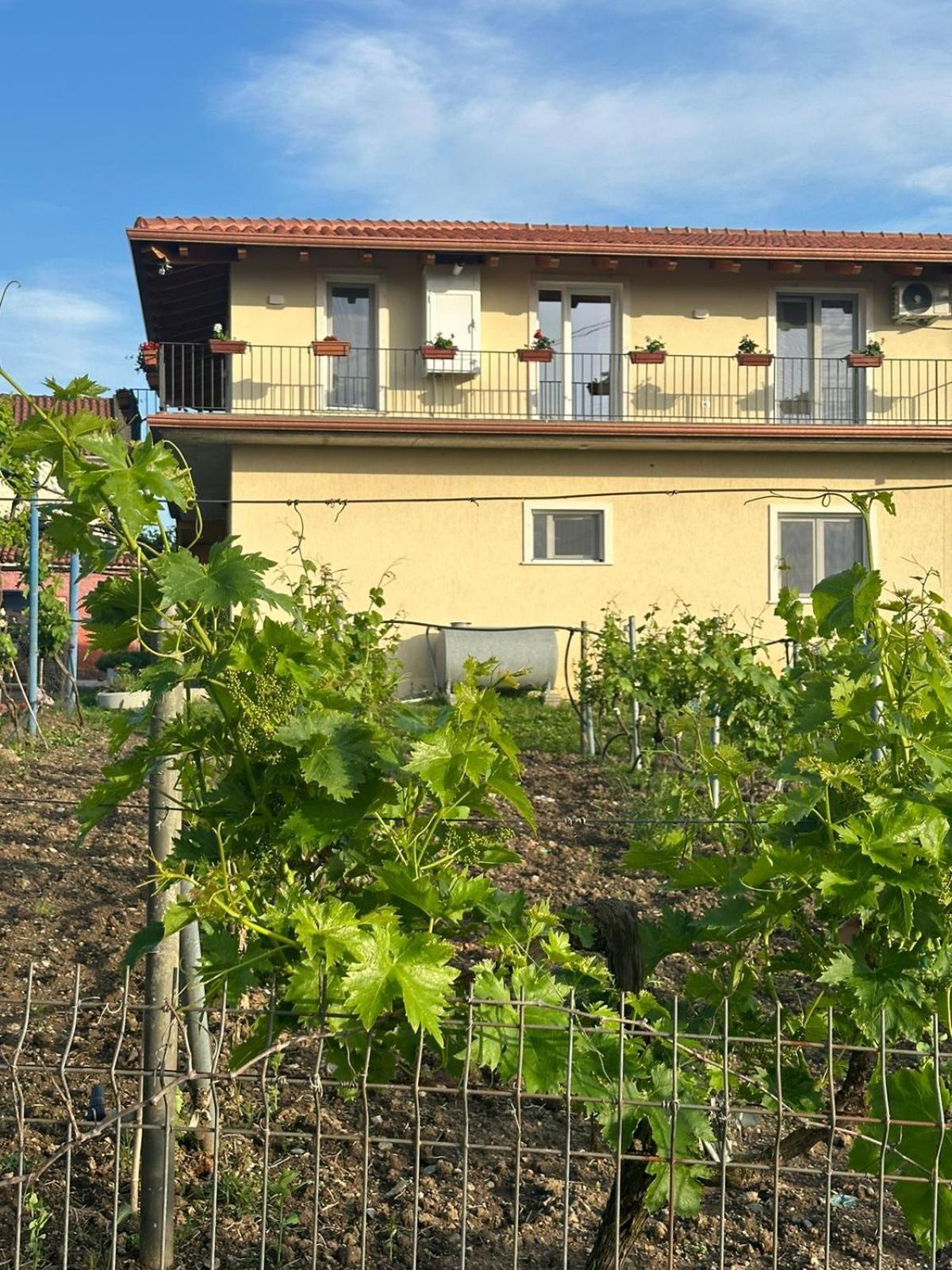 Guesthouse Marku - Mrizi I Zanave Fishte 외부 사진